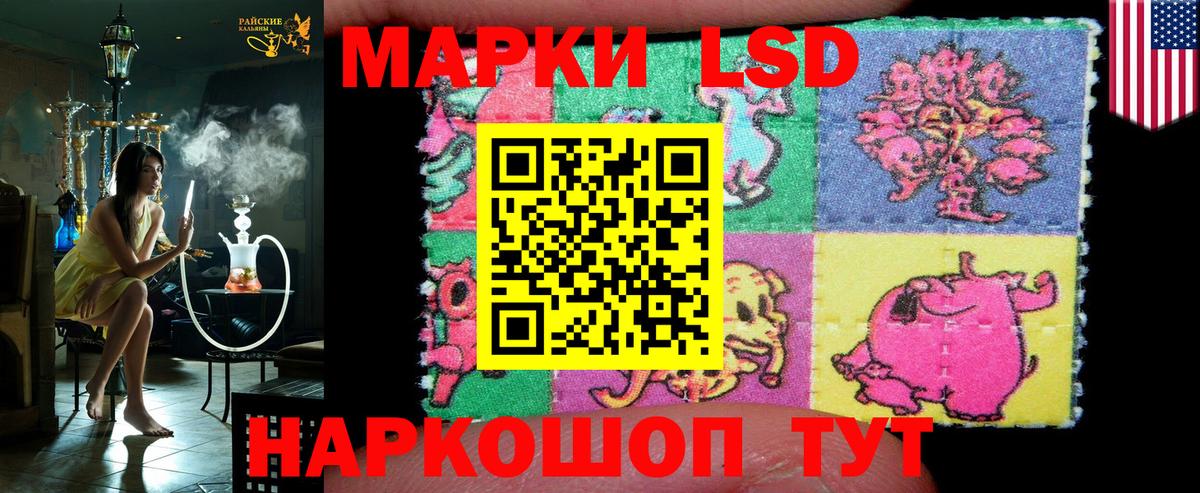 Галлюциногенные грибы Протвино