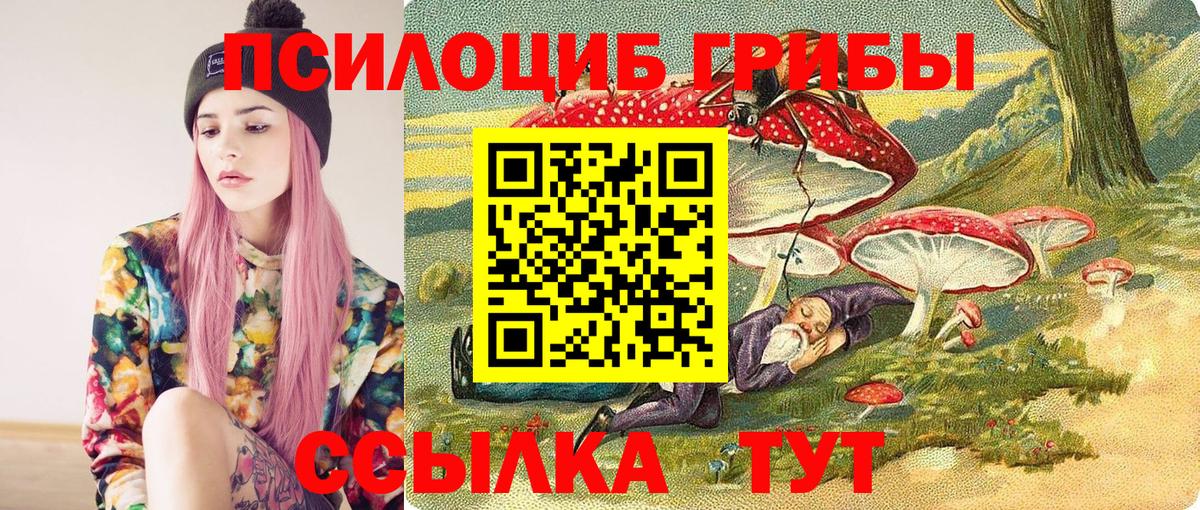 Протвино  Псилоцибиновые грибы Psilocybe  Вход с VPN  Галлюциногенные грибы Cubensis 